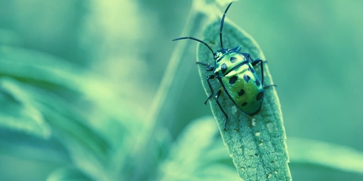 blog-1